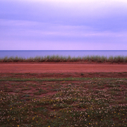 Untitled-5_card