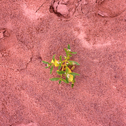 Untitled-3_copy_card