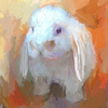 786_rabbit_alexandr_alexandrow_little_lab_thumb