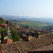 Monforte-1010159w_card