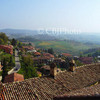 Monforte-1010159w_thumb