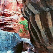 Narrows_21_1-8x12w_card