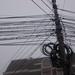 Stp60907_square