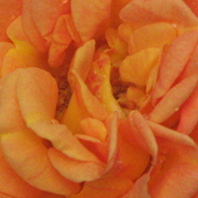Img_6029_card