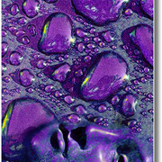 Aphrodite_s__son__card
