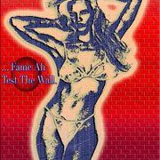 Fame-test-the-wall_card