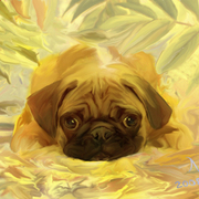 796_mops_alexandr_alexandrow_little_lab_card