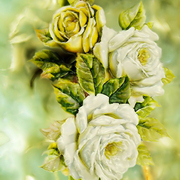 Flowers_are_in_ice_card