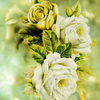 Flowers_are_in_ice_thumb