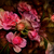 Flowers_in_baroque_tiny_square