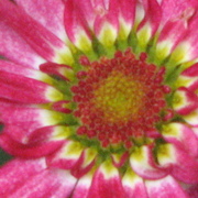 Img_6021_card