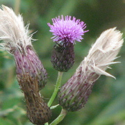 Img_6033_card