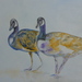 Landscapes_-2008_005_square