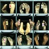 Eh_71-nekromantik_thumb