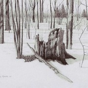Land_conservation__2_pencil__28_x_38_cm_card