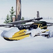 Skidoo__2_wc__38_x_56_cm_card