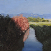 0862-early-morning-stream-6_card
