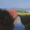 0862-early-morning-stream-6_thumb