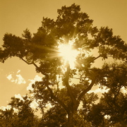 100_6476_card
