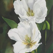 Green_and_white_12x16_2006_card
