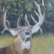 Jims_art_6_card