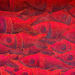 Sch-vissen-540_square