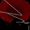 Suicide-bomber-ii_thumb