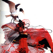 Ptak_card