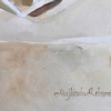 Enlightenment_extreme_emri_thumb