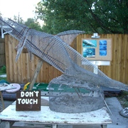 Dolphin_2_card