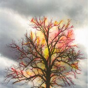 Tree_of_light_card