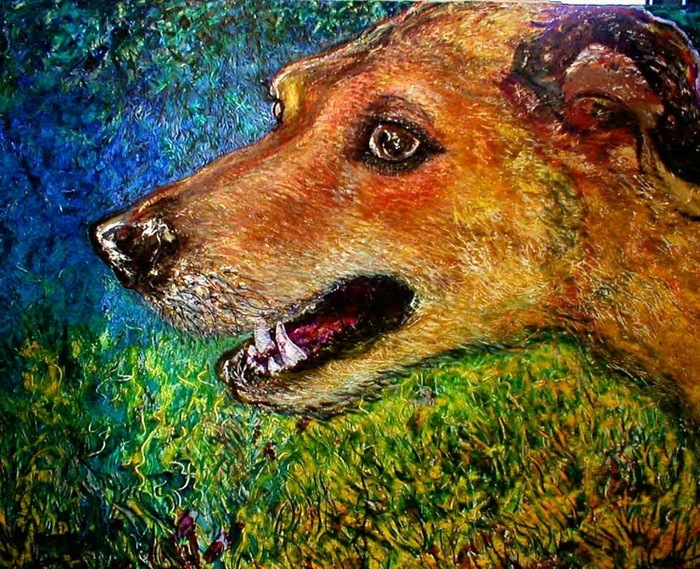 Timmy-the-wonder-dog_card
