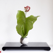Ikebana-017_card