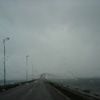 Dsc02638_thumb