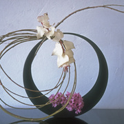 Ikebana-000__card