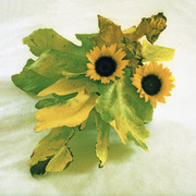 Ikebana-009a_card