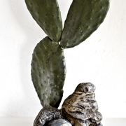 Ikebana-078_card