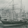 Reine_hortense_thumb