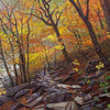 Autumn_at_mt