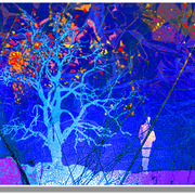 Love_lyric_in_a_winter_day_card