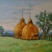 Cimg1710_card