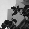 100_0787_thumb