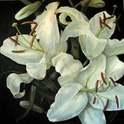 20x20_white_lilies_card