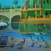 Soquel_creek_card