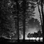 Img_0113_card