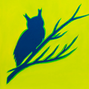 Silhouetteowl_card