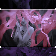 Arisu-lost_in_moments_jpg_card