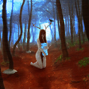 Floresta_dos_perdidos_card