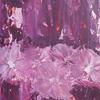 Vieux_rose_thumb