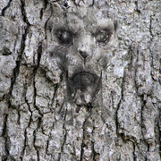 Untitled-1_card